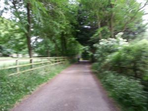 The only greenery shot of the day - we recorded it with our eyes. Not so good for blogging.