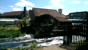 The mill