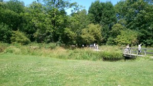 Another of the views. Can this be London?