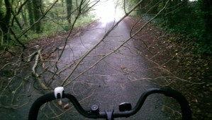 Completely blocking the road!