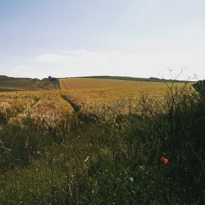 Heading off road again, not far now!