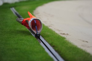 Who wants to be my racing hare? Paws up!