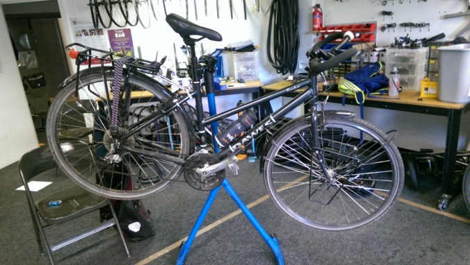 Peggy up on the stand getting some work done by lil' old me!