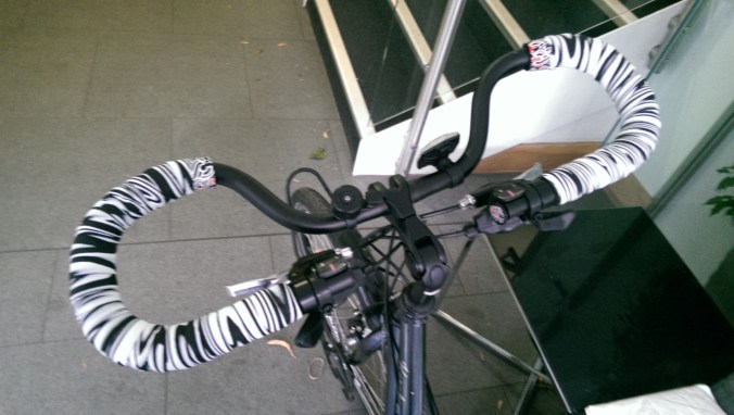Part bike, part Pegasus, part Zebra!