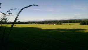 Sunny Scotland! Amazing