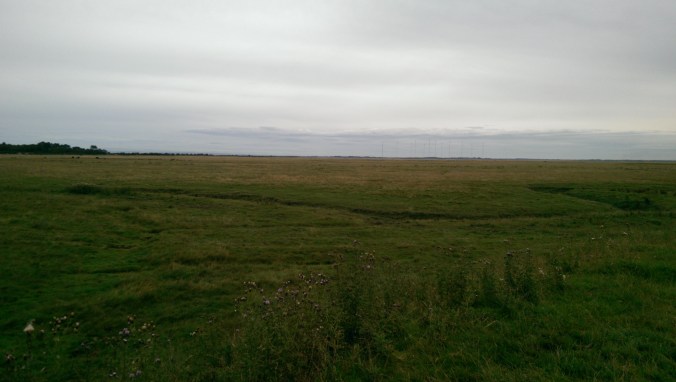 Look how flat it all is!