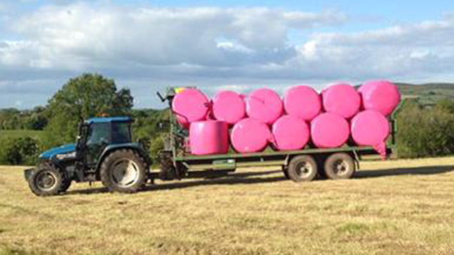 Pink silage, making me smile