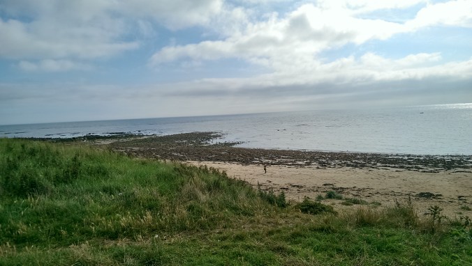 But I did manage to find a few reasons to smile. SO beautiful.